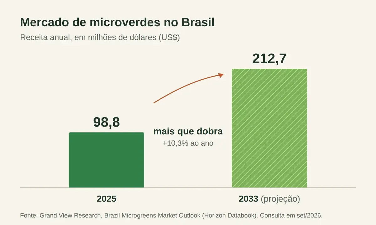 Mercado de microverdes no Brasil: US$98,8 milhões em 2025 e US$212,7 milhões projetados para 2033