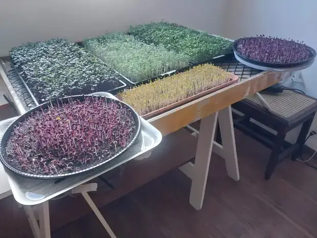 Mesa de cavalete