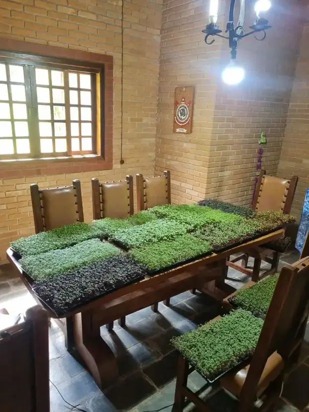 Na mesa de jantar