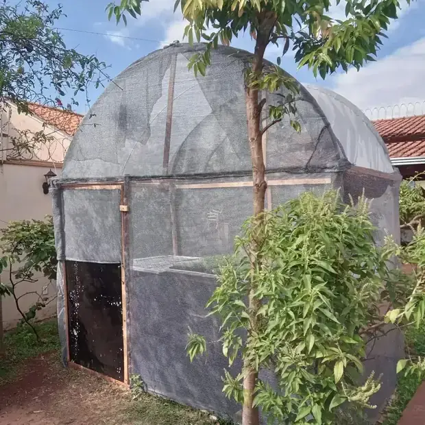 Estufa telada no quintal
